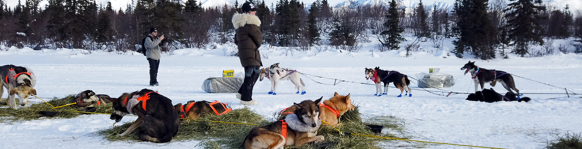 Slide #1 copy Slide background